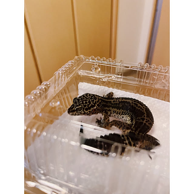w_end_0625さんの実例写真