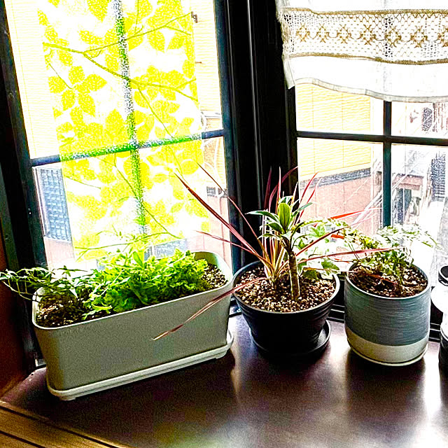 tututu0204さんの部屋