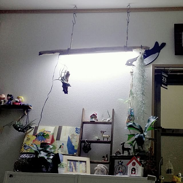 tsubasa417さんの実例写真
