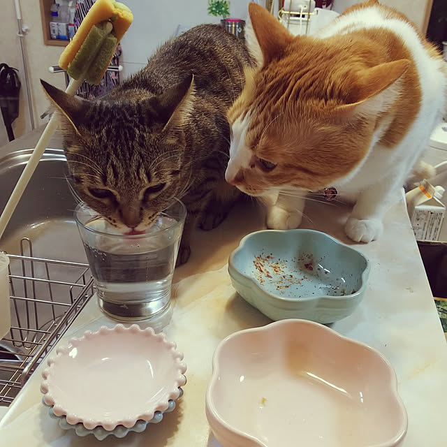 uutann320mozukuさんの実例写真