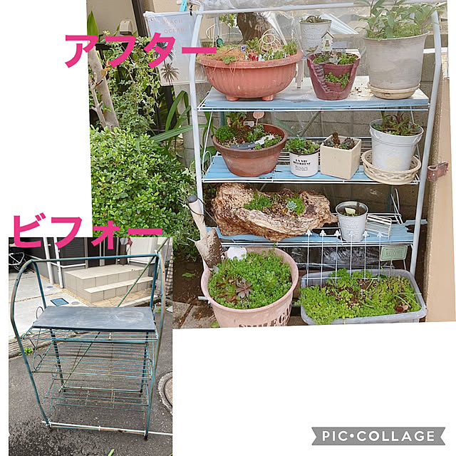 shoさんの実例写真