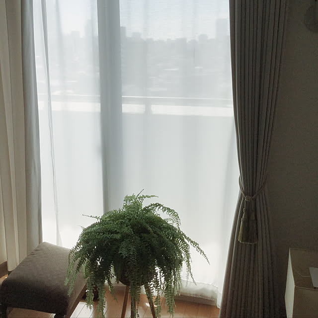 greenpancerさんの実例写真
