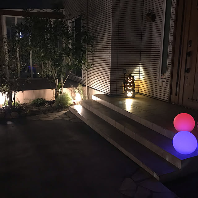 玄関/入り口のインテリア実例 - 2019-09-12 23:51:51