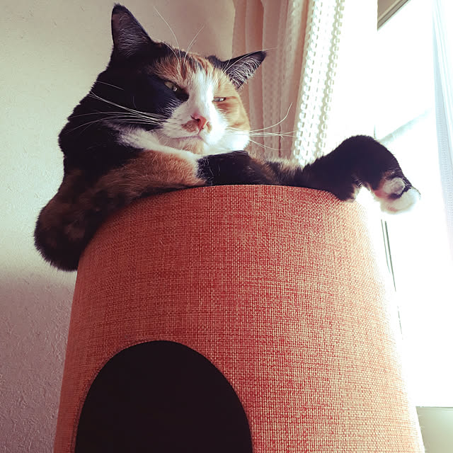 fumiyo.01さんの実例写真