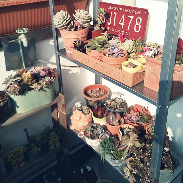 VERANDARJUNさんの実例写真