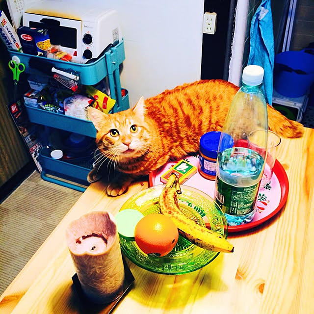 eriさんの実例写真