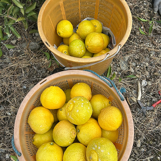 banbinaさんの部屋