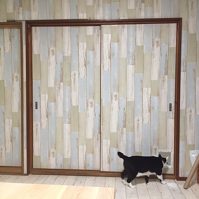 minotchyさんの実例写真