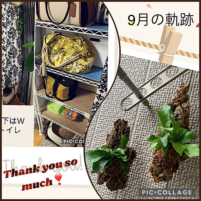 yukarin-gardenさんの実例写真