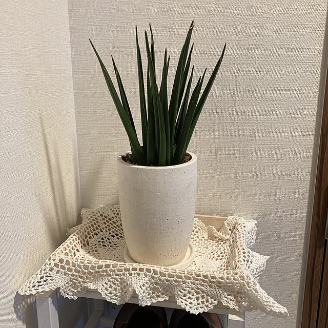 yumomitoさんの実例写真