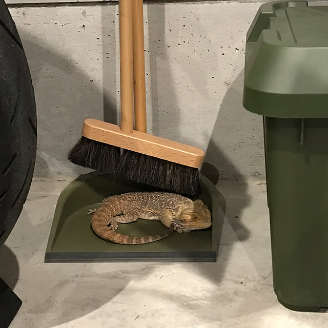 japitonさんの実例写真