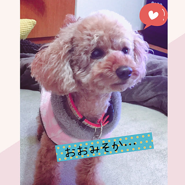 yyy888さんの実例写真