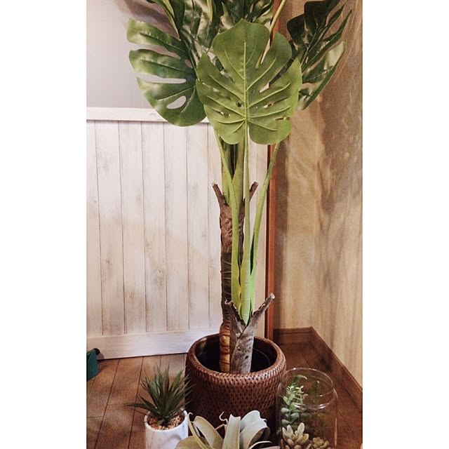 Hideさんの実例写真