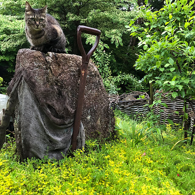 weさんの実例写真