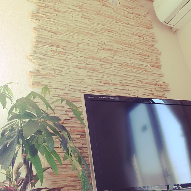 pecoさんの実例写真