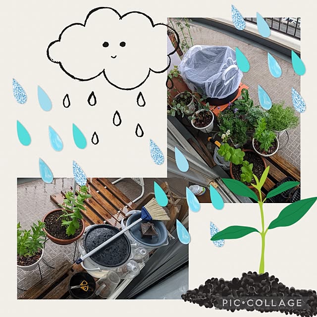 mi-saさんの実例写真