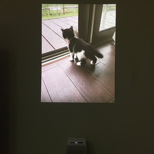 yukichi3さんの実例写真