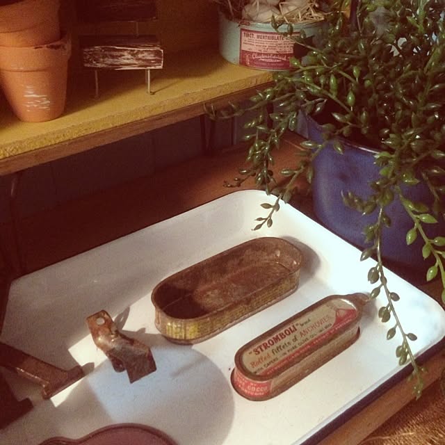 edenさんの実例写真