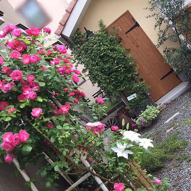 mippoko345さんの実例写真