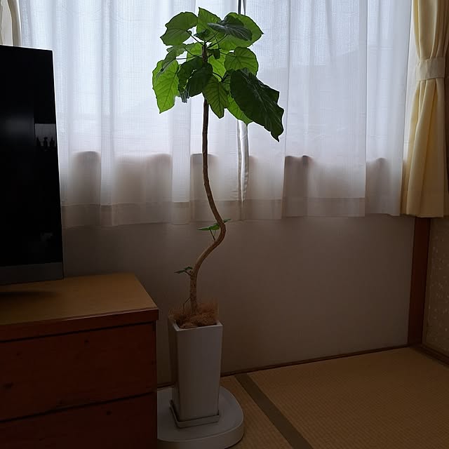 sky2000さんの実例写真