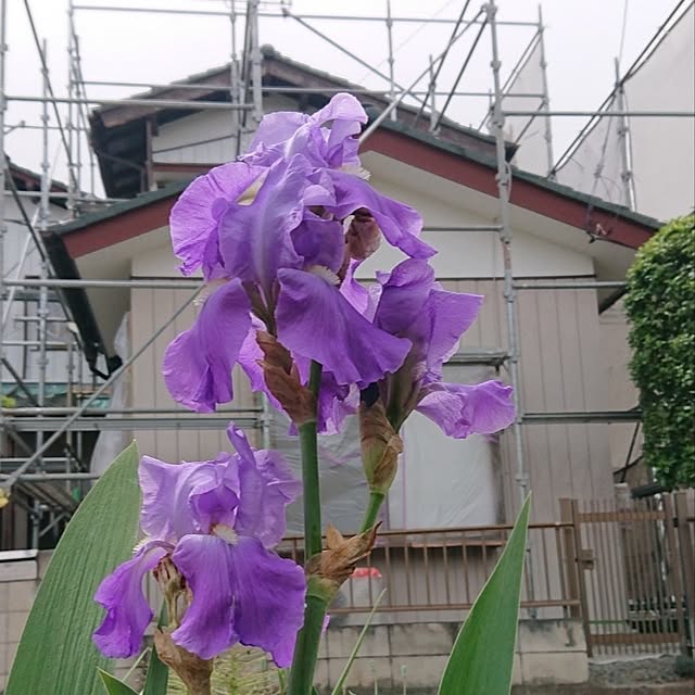 NOAHさんの部屋
