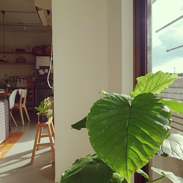 karinさんの実例写真
