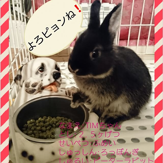 hidemomさんの実例写真