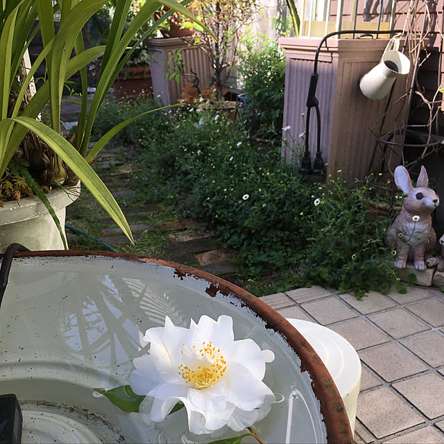 frostyさんの実例写真