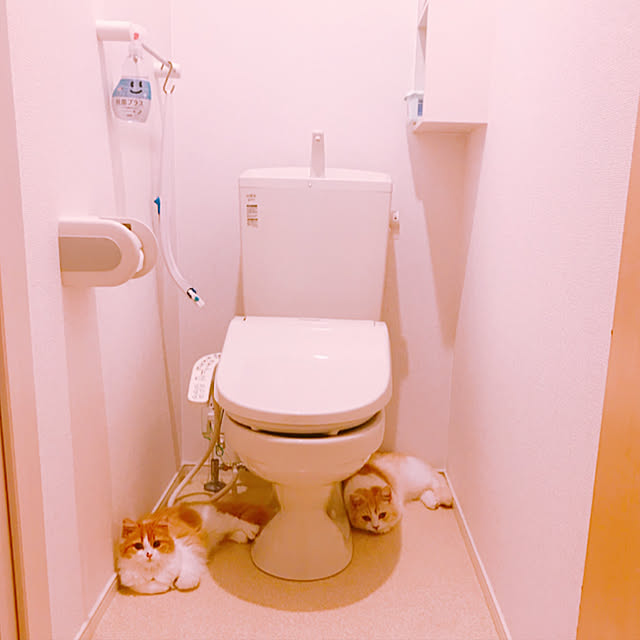 H.Tさんの実例写真