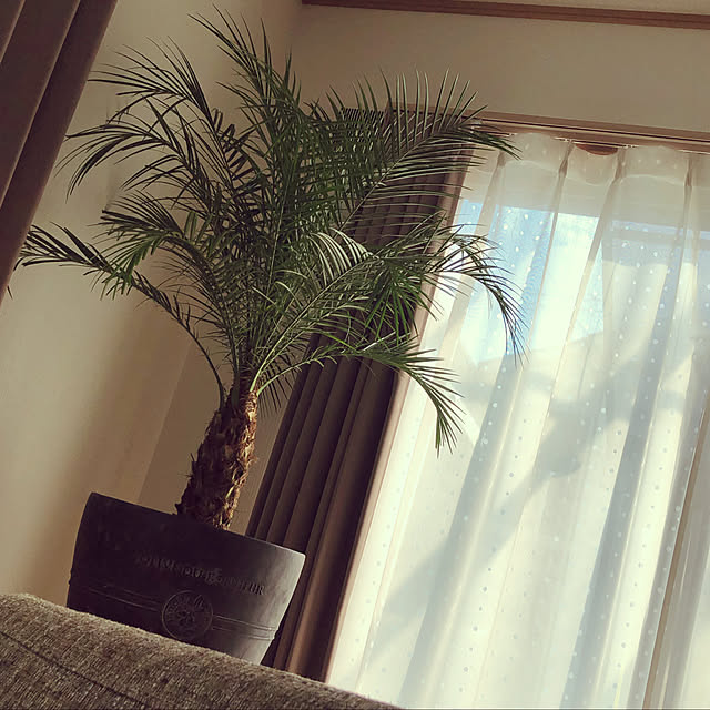sayuriさんの実例写真