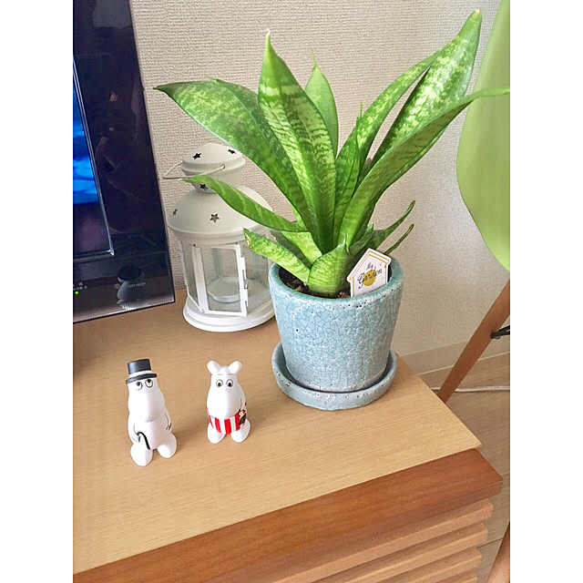 ikechonさんの実例写真