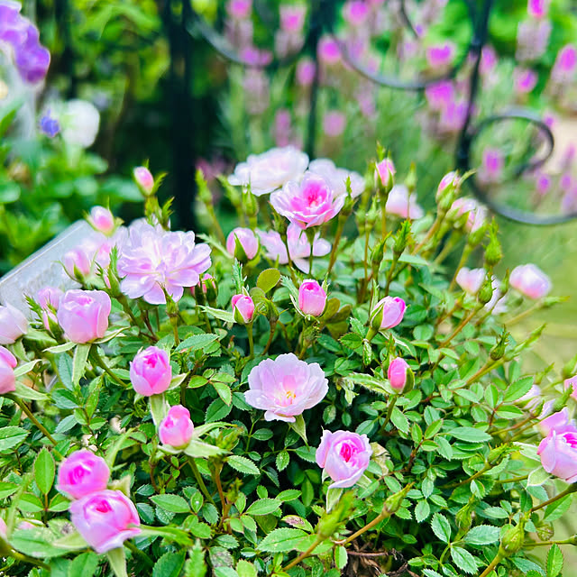 sunabaさんの部屋