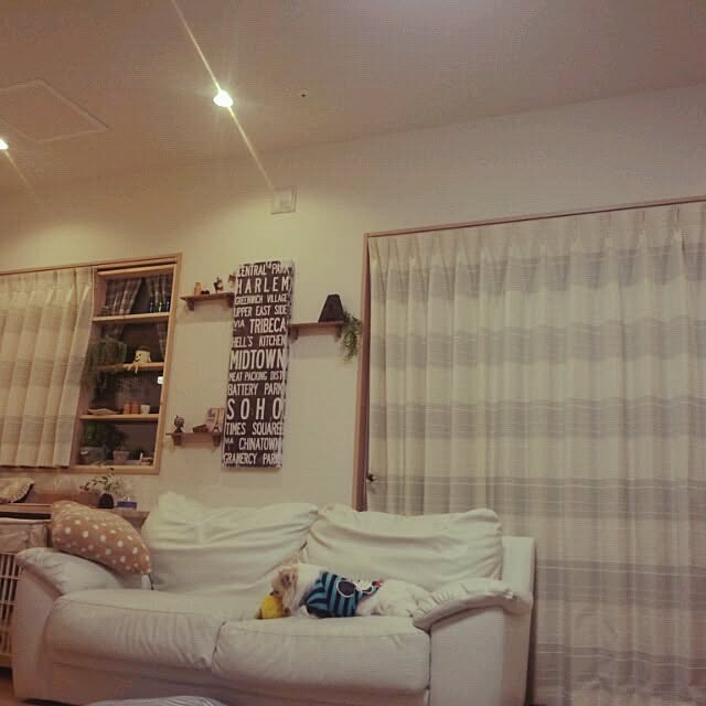 asa.haruaoさんの実例写真