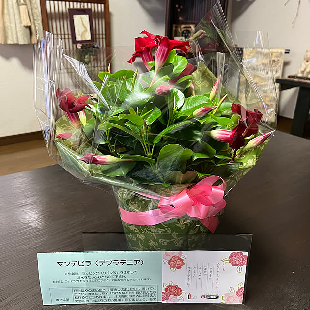 ritsukoさんの部屋