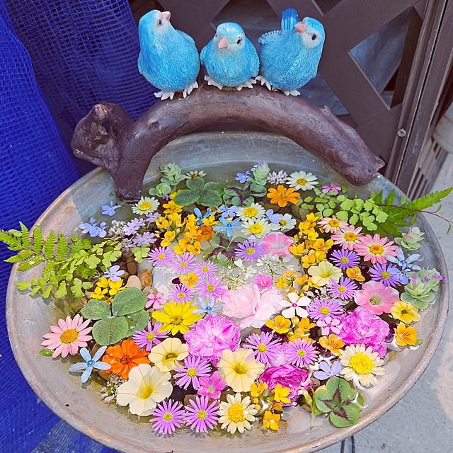 mocomocoさんの部屋