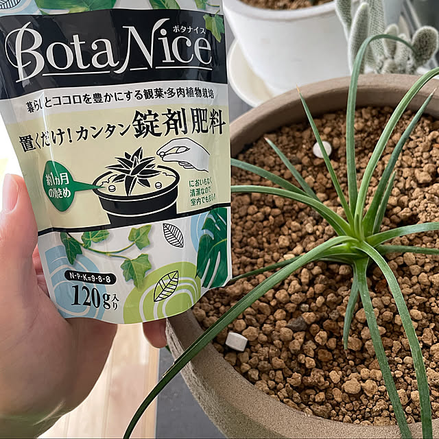 Leomamさんの実例写真