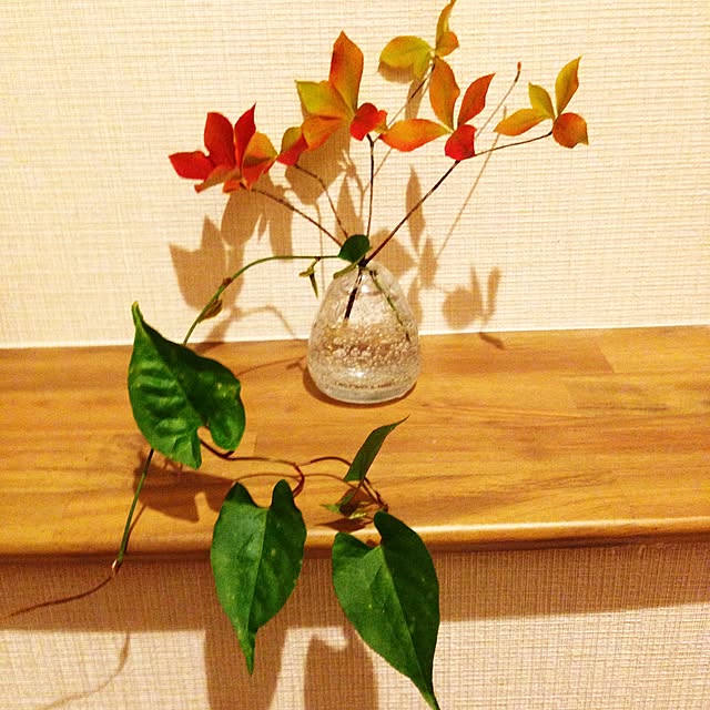 kazzさんの実例写真