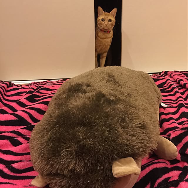 hiro3さんの実例写真