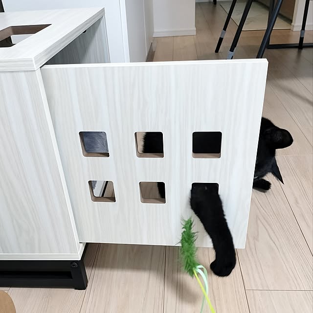 sakuraさんの部屋