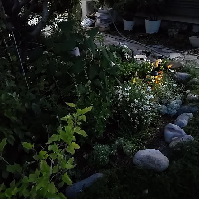 salacocoさんの部屋