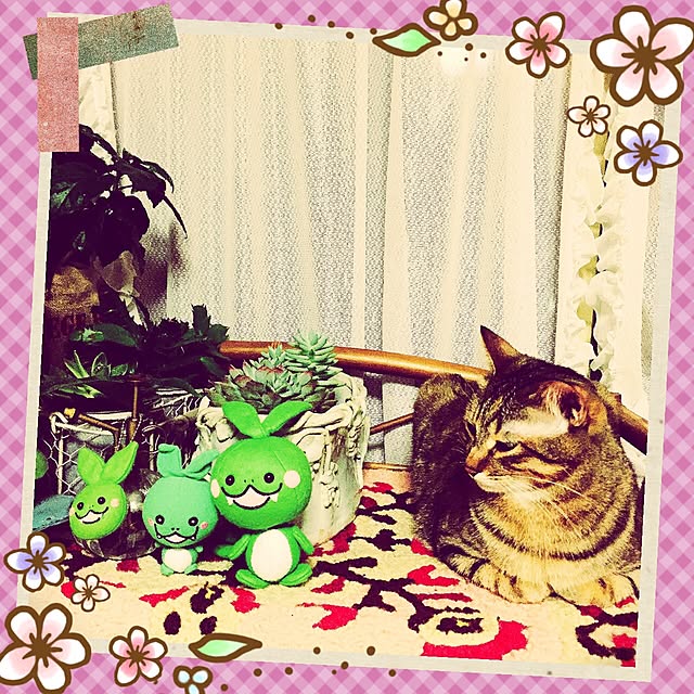 MASAさんの実例写真