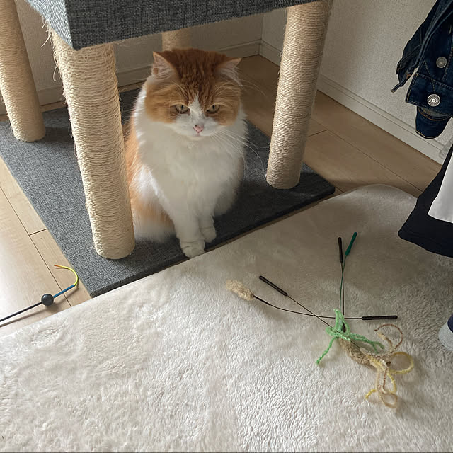 H.Tさんの実例写真