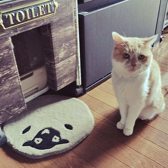kobakissaさんの部屋