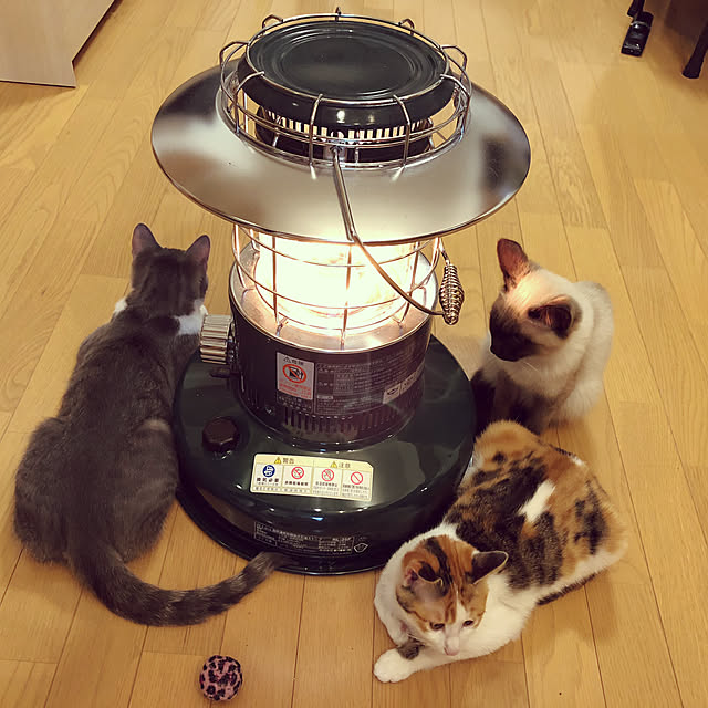 Mentanさんの実例写真