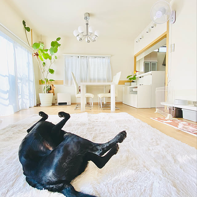 minu5656さんの実例写真