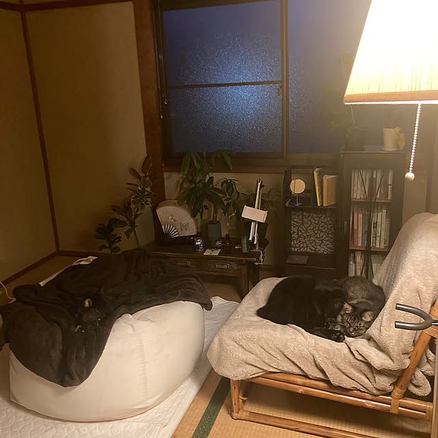 saltさんの実例写真