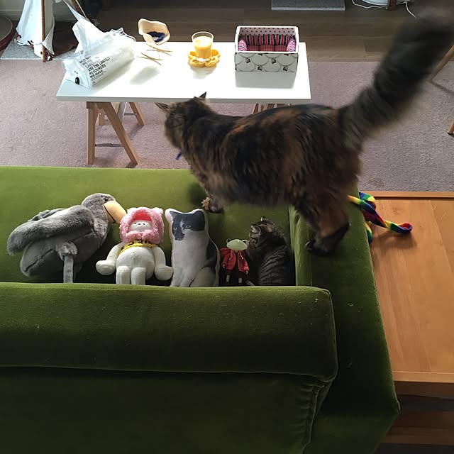 mikomaruさんの実例写真