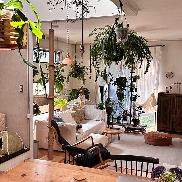 greycatsさんの部屋