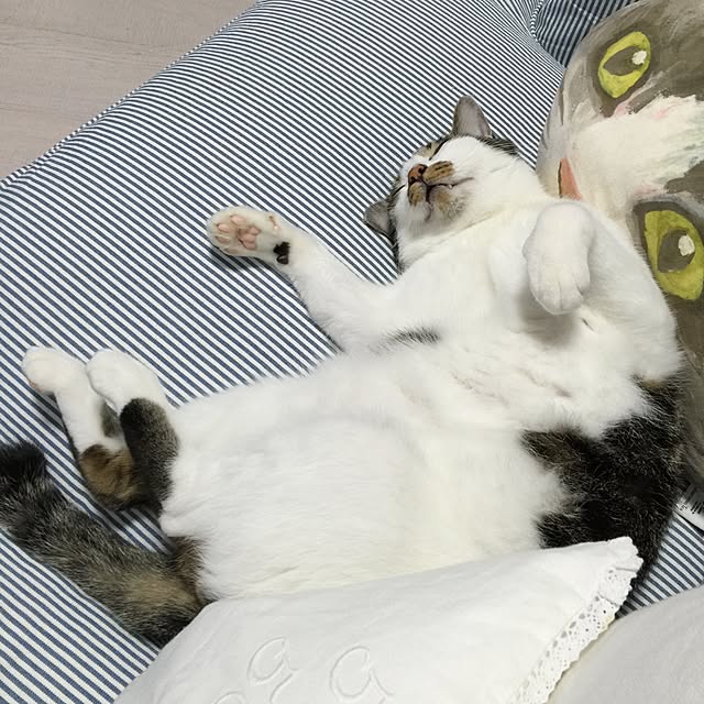 yuchiさんの実例写真