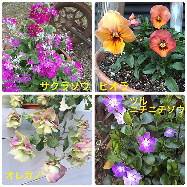 bibianさんの実例写真